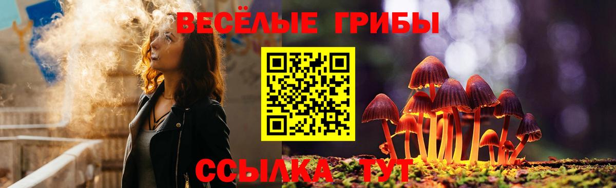 Галлюциногенные грибы прущие грибы Сорочинск
